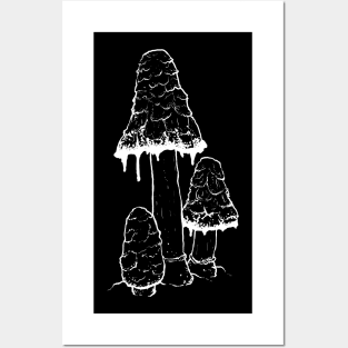 Ink Cap Mushrooms Posters and Art